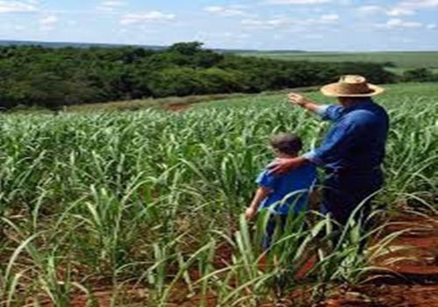 Recolhimento de salário-educação para o empregador rural pessoa física